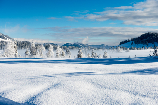 Winterlandschaft