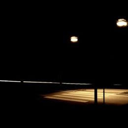 nightzebra