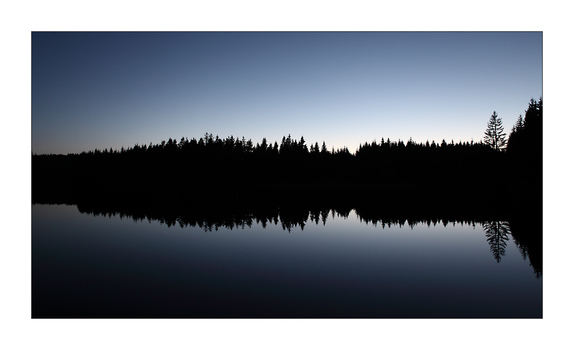 the sound of silence