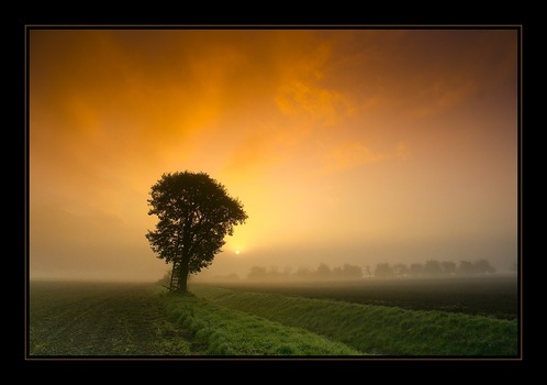 frühes Licht
