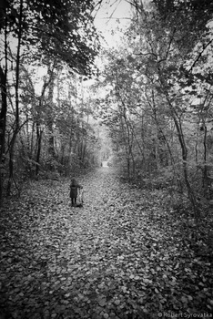 Heimweg
