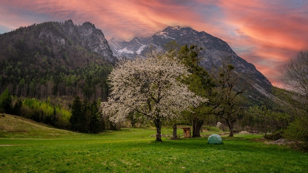 Frühling unterm Grimming