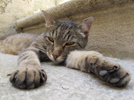 Chillin'