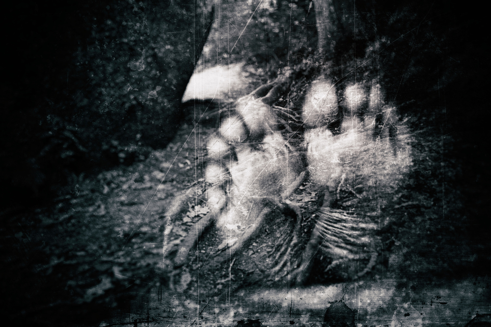 MagicForest #2