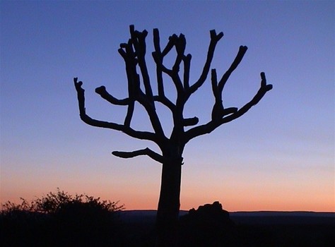 Abendstimmung