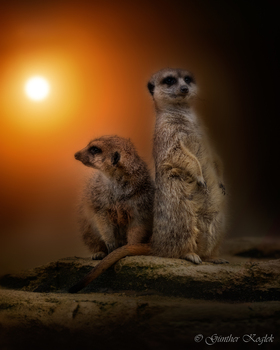 Abendstund