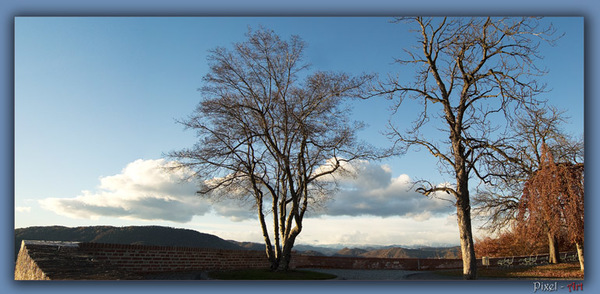 Schlossbergblick