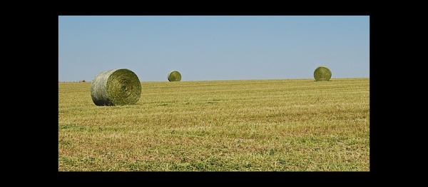 Impressionen eines Erntetages (21/22) - Rund und Grün