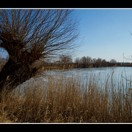 Schönauer Teich 3