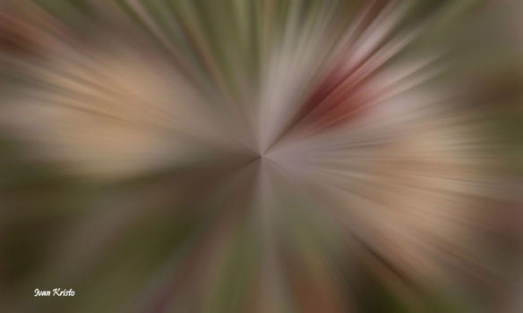 Herbst Blumen 2