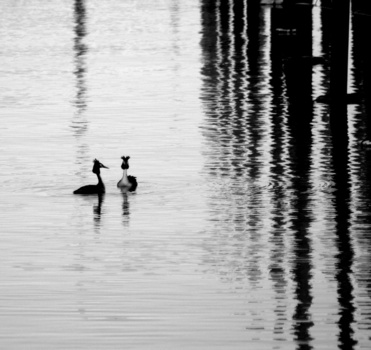 am See