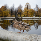 Herbstspaziergang