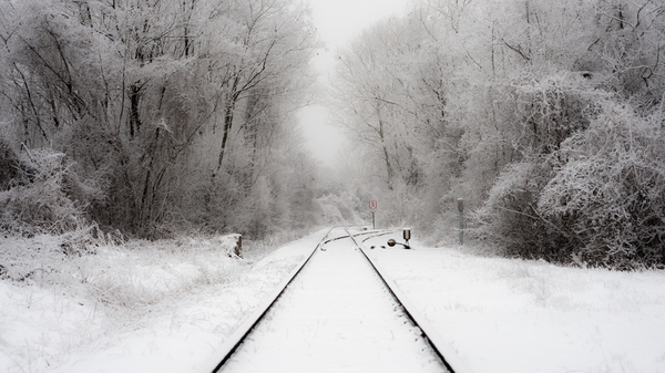 Snow in Vienna