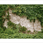 Urbane Vegetation