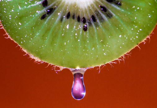 Dripping Kiwi