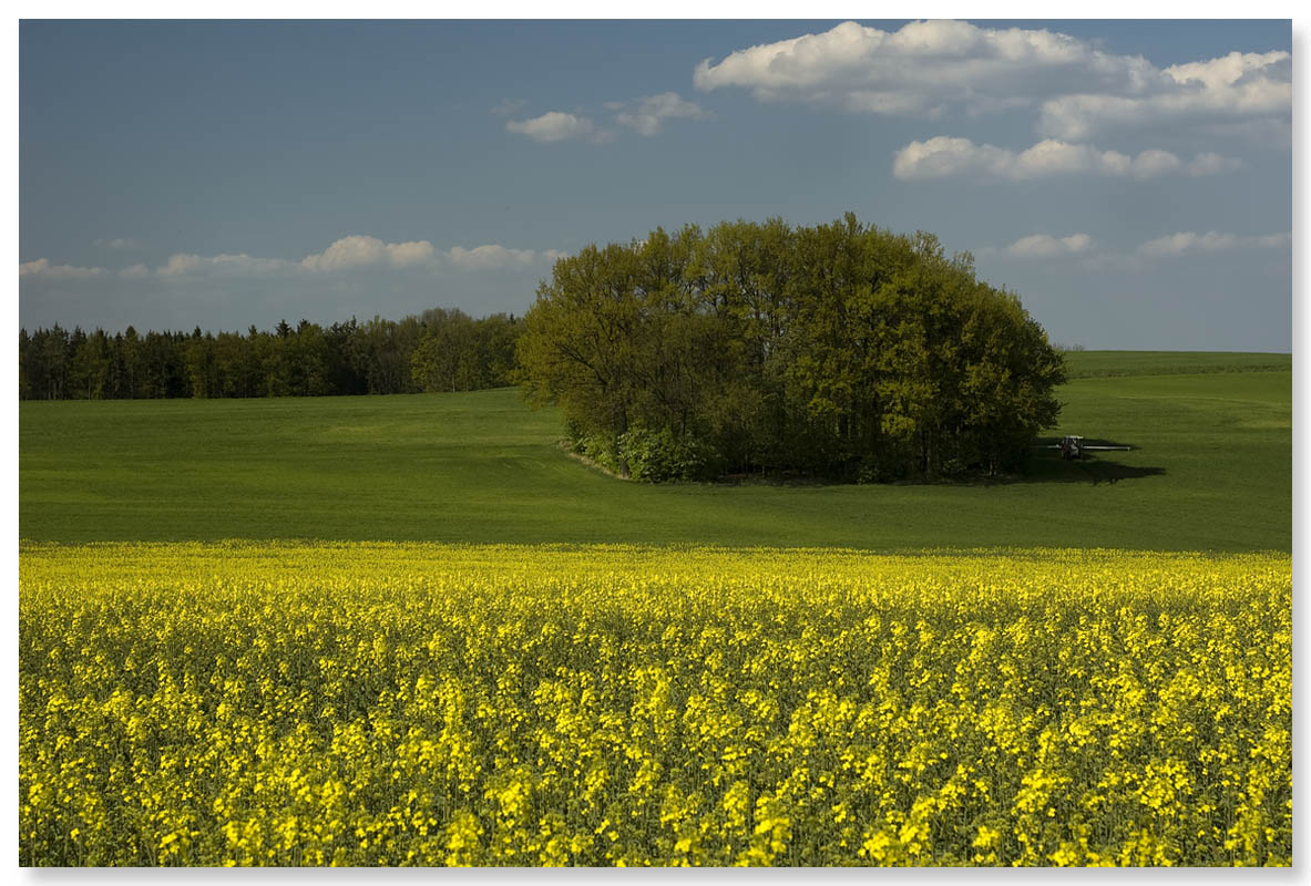 raps'n'landschaft