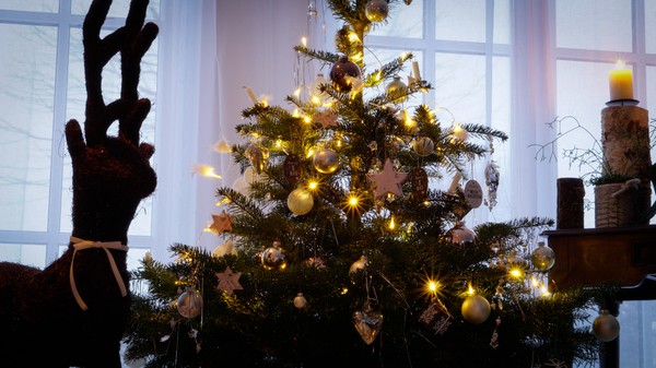 Weihnachts-Stimmung