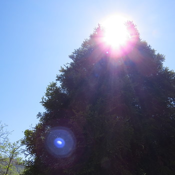 Sonne und Orb