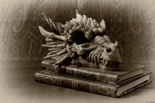 Gothic Stillife