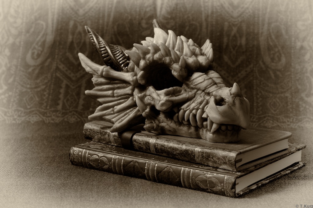 Gothic Stillife