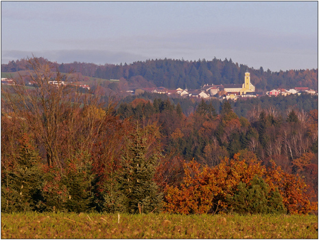 Münzbach im Mühlviertel