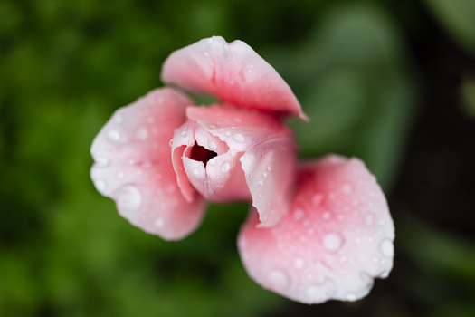 nach dem Regen