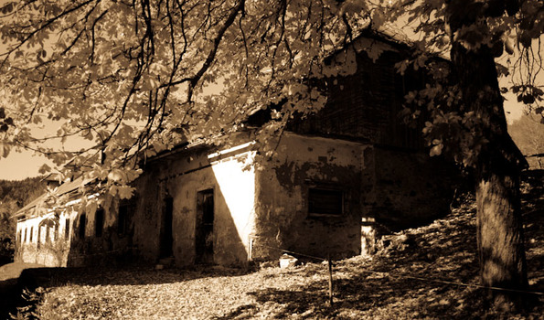 Stille