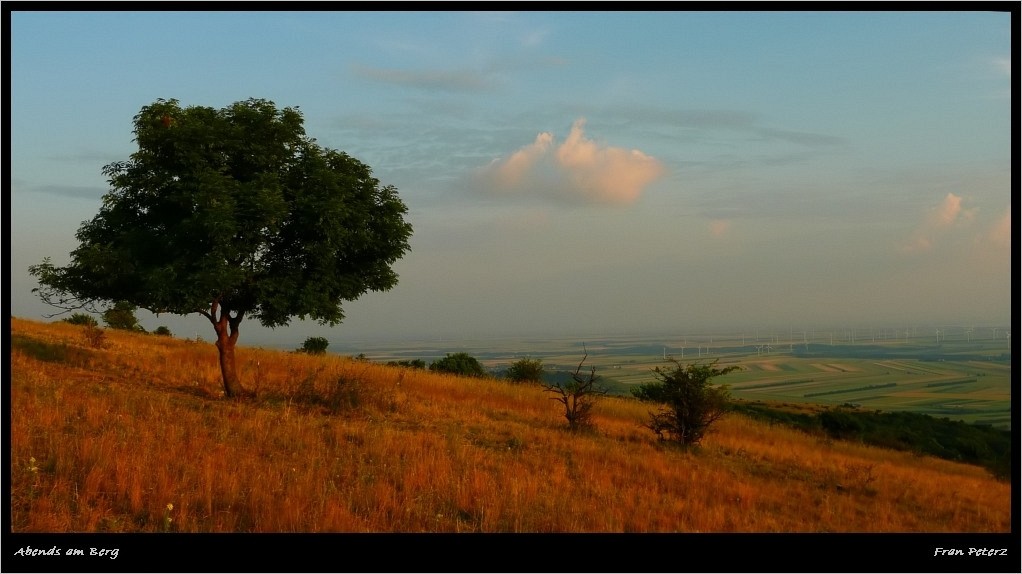 Abends am Berg