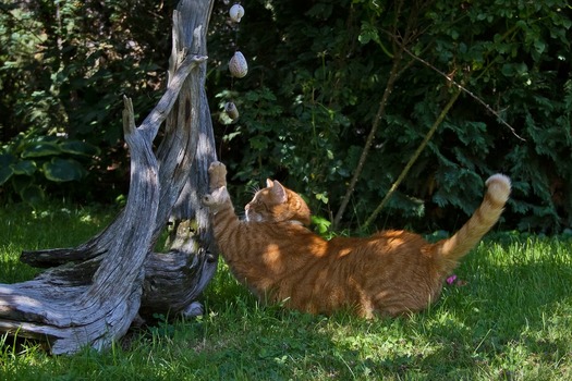 Stretching
