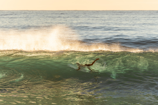 Sunset Surfer II