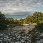 kleiner Bach umgeben von Bäumen und Felsen