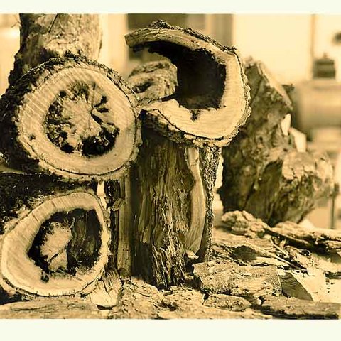 Brennholz