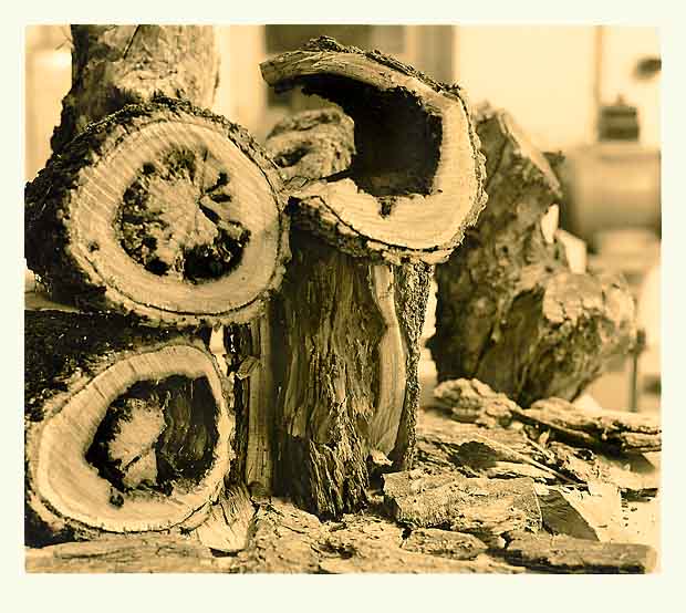 Brennholz