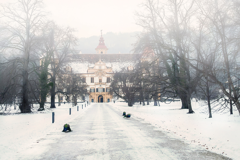 Winterliches Schloss Eggenberg