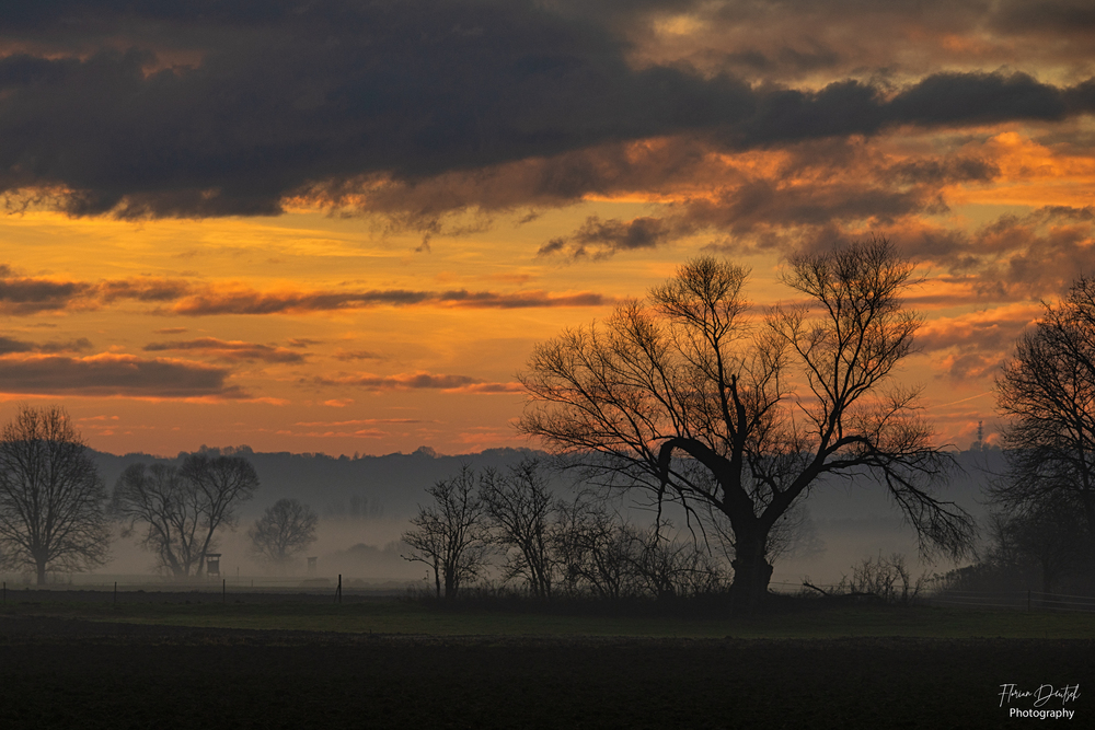Vor Sonnenaufgang