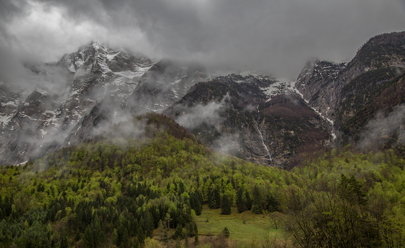 Bavški Grintavec