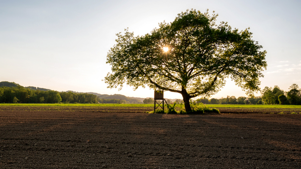 Sonnenschirm