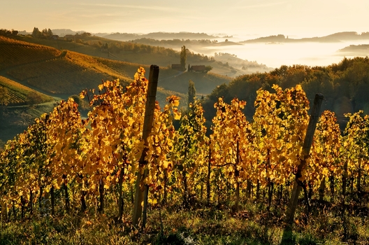 Südsteirischer Herbst