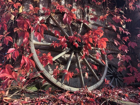 Der Herbst ist da!