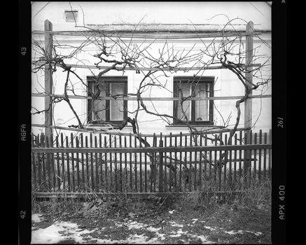 Winter im Burgenland
