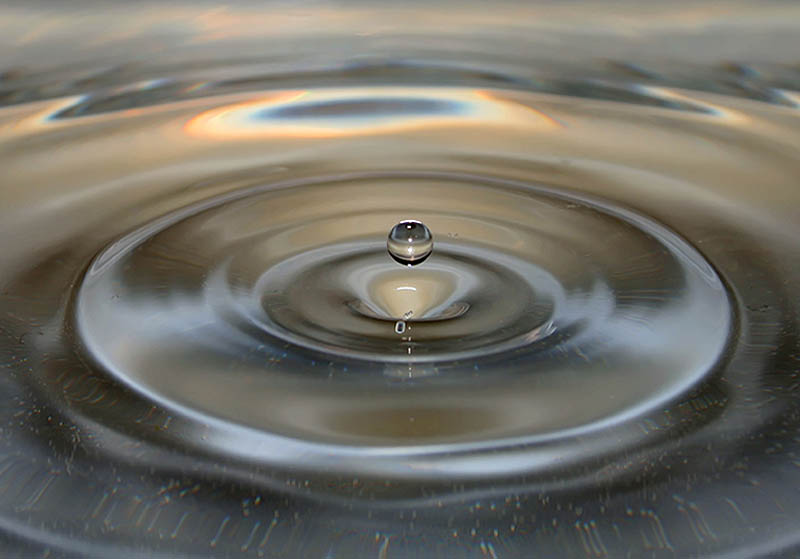 Wasser