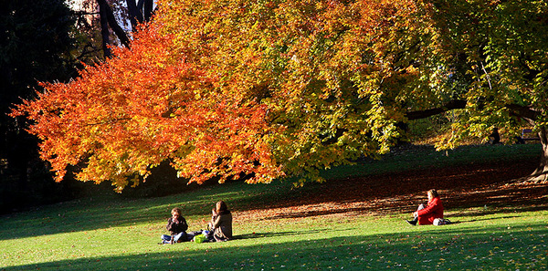 Herbstfarben 7