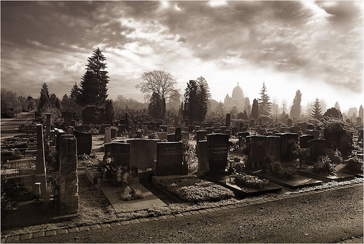 Es lebe der Zentralfriedhof