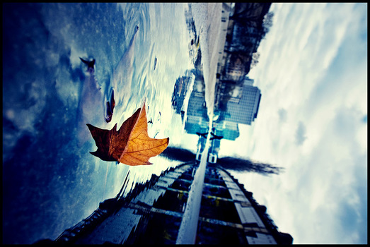 winter like fall