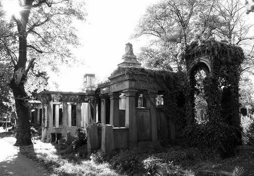 es lebe der zentralfriedhof2