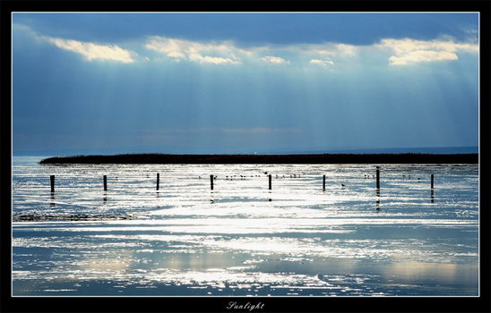 Sunlight