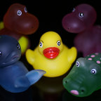 Ente mit ihren Freunden