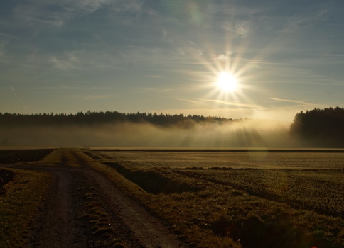 Novembernebel 02