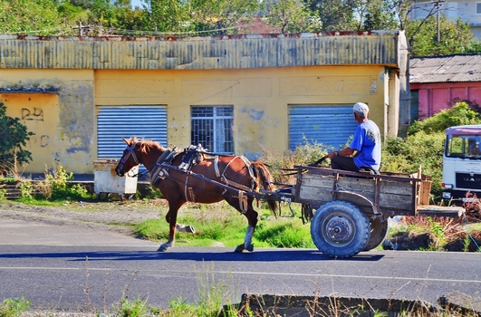 Bërdicë e Siperme / Albanien