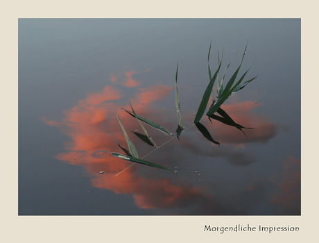 Morgendliche Impression